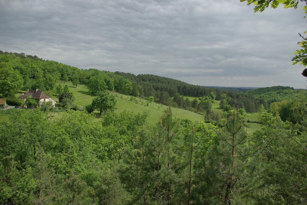 Pechalvet Hotell Fleurac  Rum bild